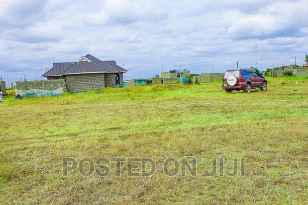 Ready to Build Plots in Murera