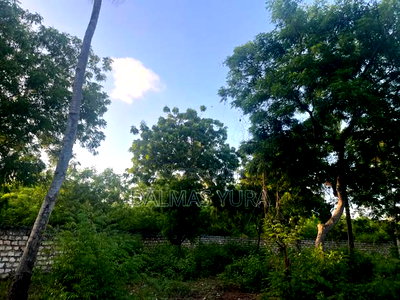 A Half an Acre Land at Dongokundu - Image 4