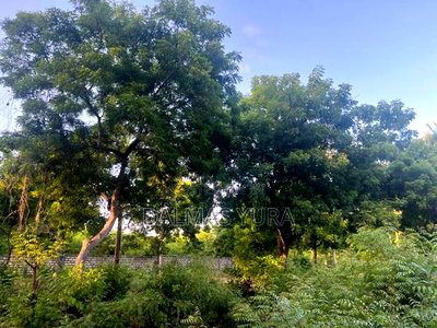 A Half an Acre Land at Dongokundu - Image 5