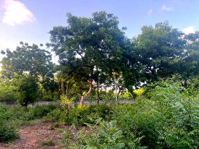 A Half an Acre Land at Dongokundu - Image 3