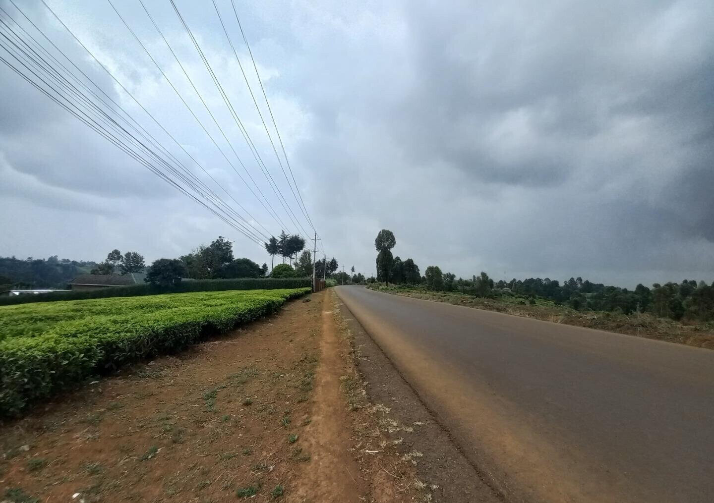 9.5-Acre Tea Plantation with Garden