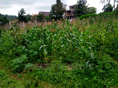 Prime Residential Quater (1/4) Acre Plot in Kerarapon, Ngong - Image 2