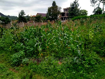Prime Residential Quater (1/4) Acre Plot in Kerarapon, Ngong - Image 4