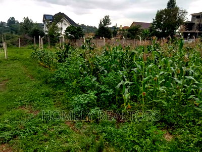Prime Residential Quater (1/4) Acre Plot in Kerarapon, Ngong - Image 3