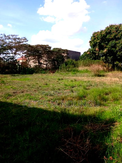 Prime Land on Sale 1/2 Acre, Greenspot Kamakis - Image 5