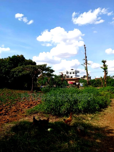 Prime Land on Sale 1/2 Acre, Greenspot Kamakis - Image 3