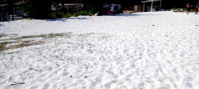 2 Acres 1/4 Beach Plot on Sale in Galu Beach - Image 9