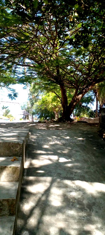 2 Acres 1/4 Beach Plot on Sale in Galu Beach - Image 4