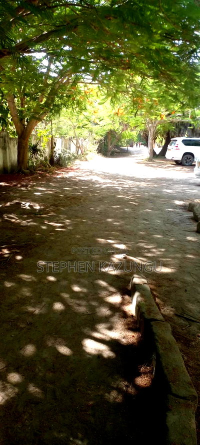 2 Acres 1/4 Beach Plot on Sale in Galu Beach - Image 3