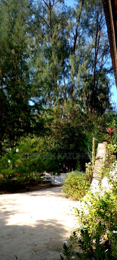 2 Acres 1/4 Beach Plot on Sale in Galu Beach - Image 15