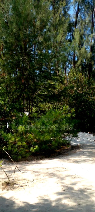 2 Acres 1/4 Beach Plot on Sale in Galu Beach - Image 14