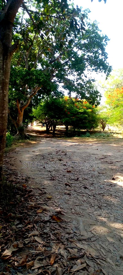 2 Acres 1/4 Beach Plot on Sale in Galu Beach - Image 2