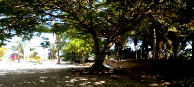 2 Acres 1/4 Beach Plot on Sale in Galu Beach - Image 11