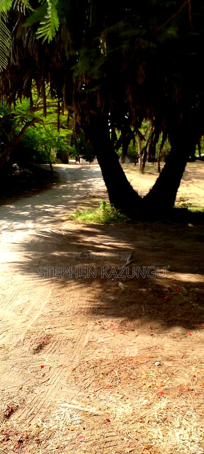 2 Acres 1/4 Beach Plot on Sale in Galu Beach - Image 5