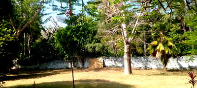 2 Acres 1/4 Beach Plot on Sale in Galu Beach - Image 20