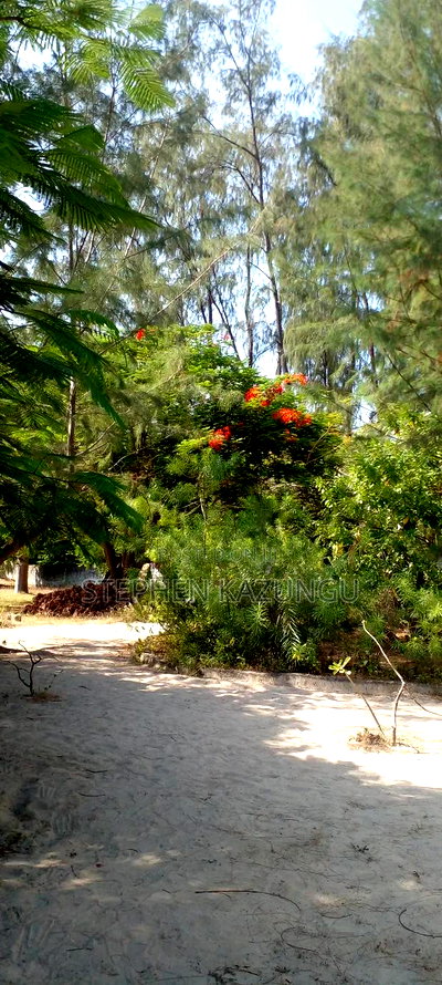 2 Acres 1/4 Beach Plot on Sale in Galu Beach - Image 13