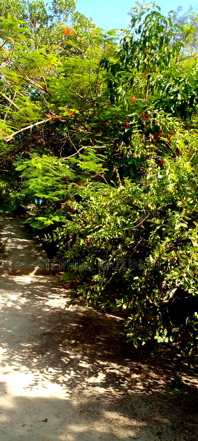 2 Acres 1/4 Beach Plot on Sale in Galu Beach - Image 19