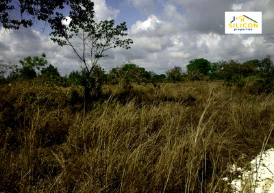 2.5M Per Acre Ukunda Plot