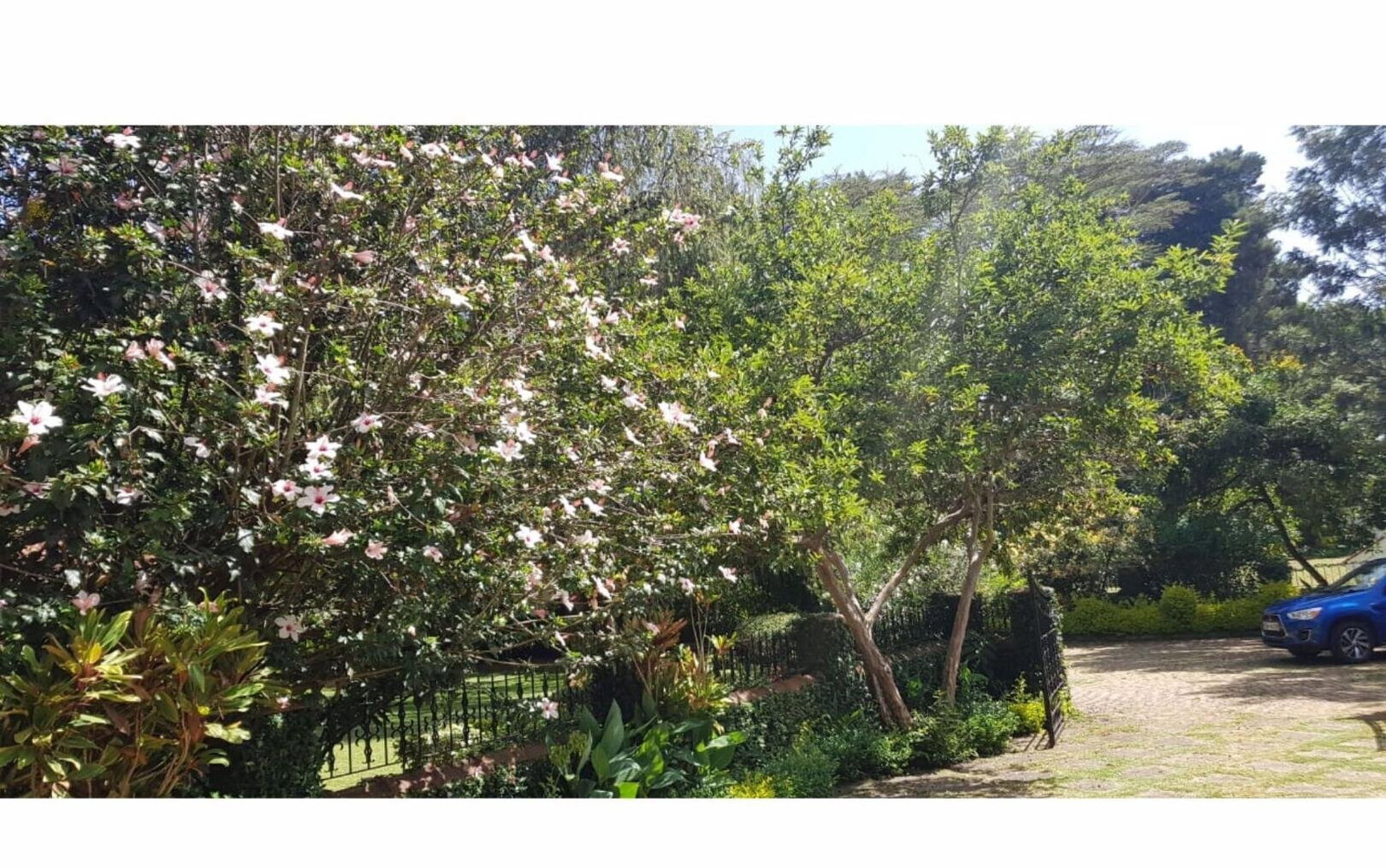 1/8 Acre Garden Home for KSh 450K