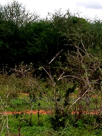 198acres Land For Sale With Title Deed - Image 1