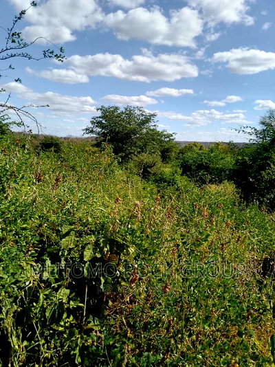 198acres Land For Sale With Title Deed - Image 5