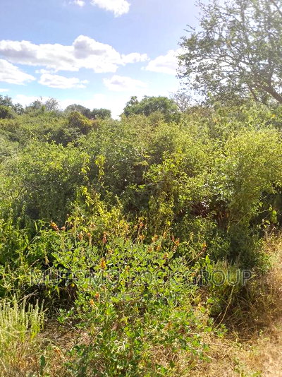 198acres Land For Sale With Title Deed - Image 4