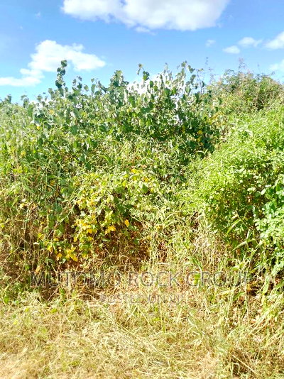 198acres Land For Sale With Title Deed - Image 2