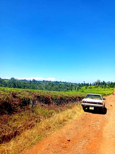50 Acre Tea Farm in Ngorongo Kiambu - Image 6