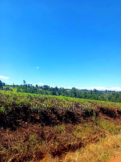 50 Acre Tea Farm in Ngorongo Kiambu - Image 5
