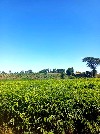 50 Acre Tea Farm in Ngorongo Kiambu - Image 8
