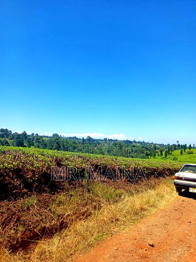 50 Acre Tea Farm in Ngorongo Kiambu - Image 10