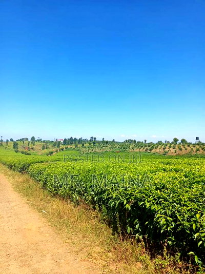 50 Acre Tea Farm in Ngorongo Kiambu - Image 1