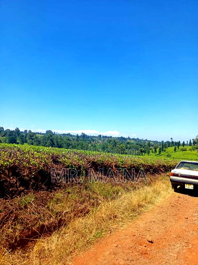 50 Acre Tea Farm in Ngorongo Kiambu - Image 12