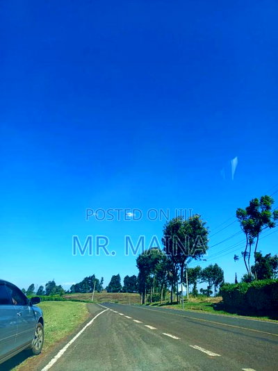 50 Acre Tea Farm in Ngorongo Kiambu - Image 3