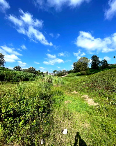 1/2 Acre Runda Plot for KSh 50M