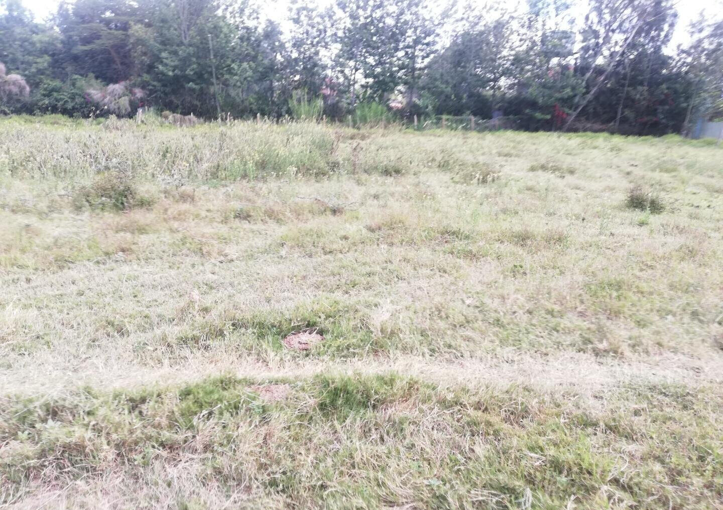1 Acre Garden Plot in Karen