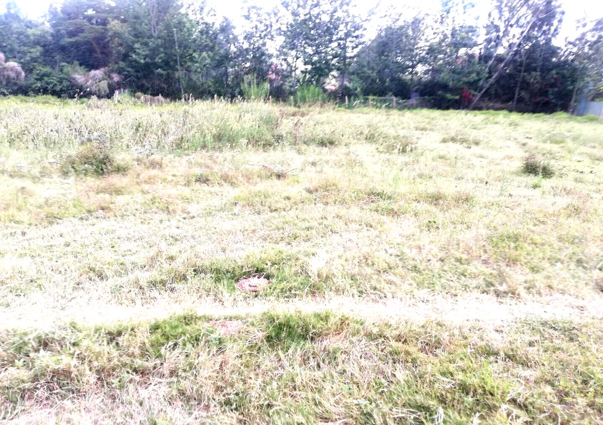 1 Acre Garden Plot in Karen