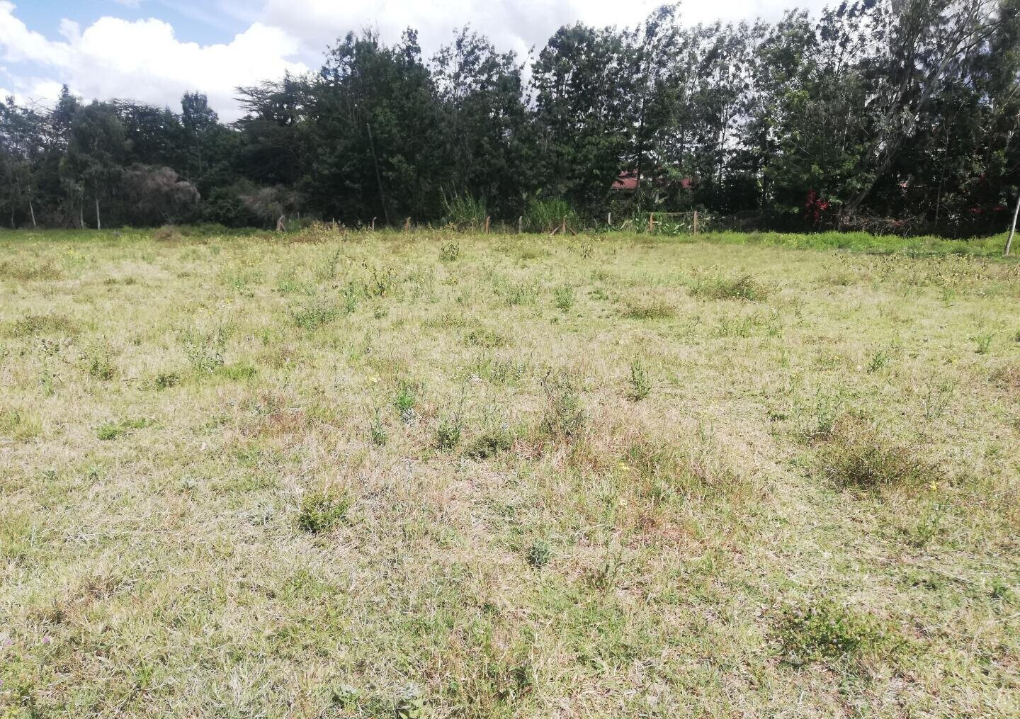 1 Acre Garden Plot in Karen