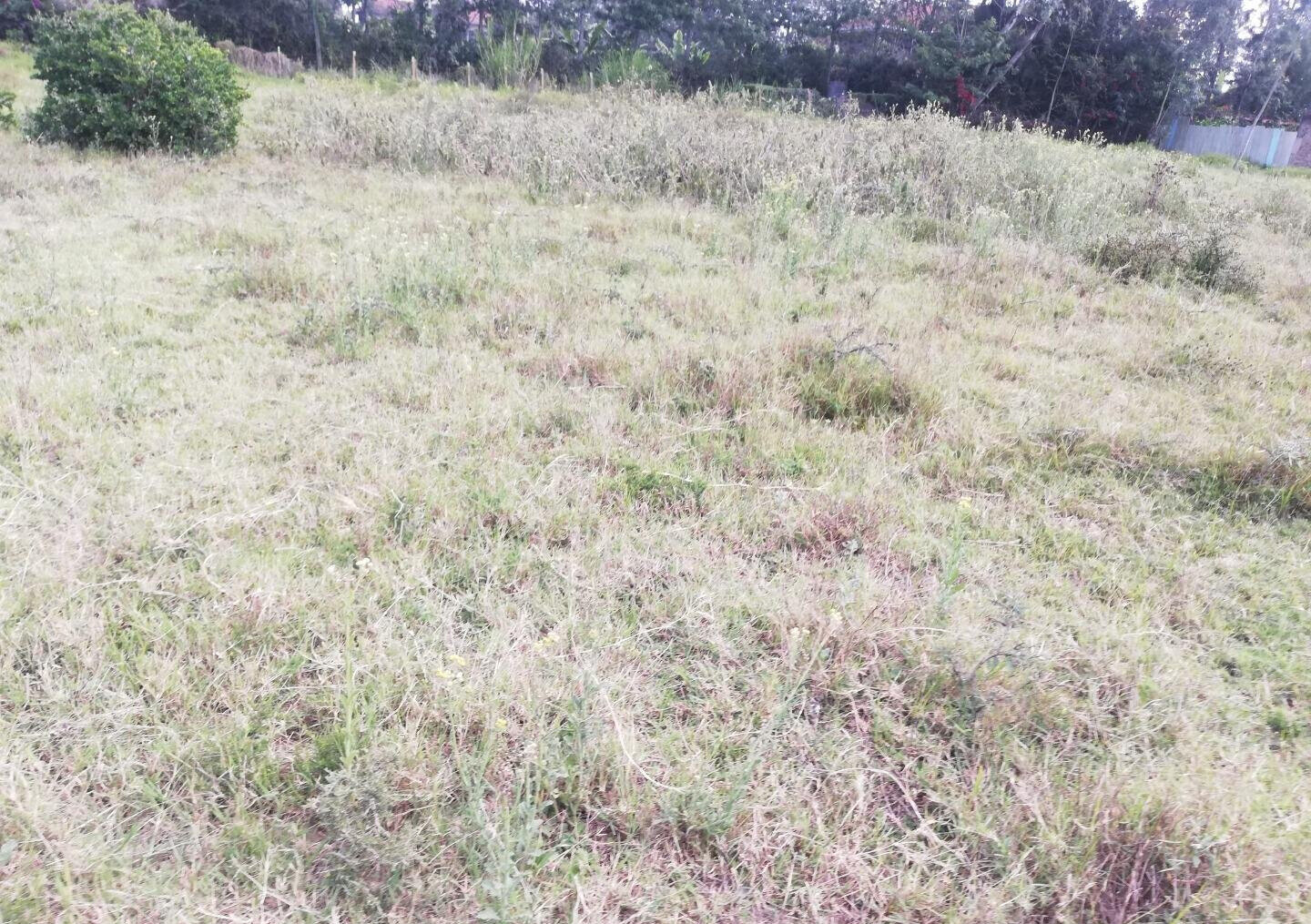 1 Acre Garden Plot in Karen