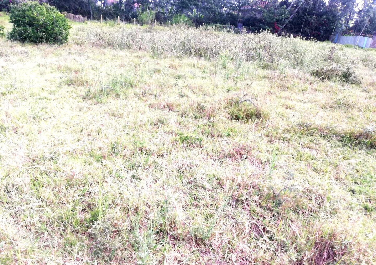 1 Acre Garden Plot in Karen
