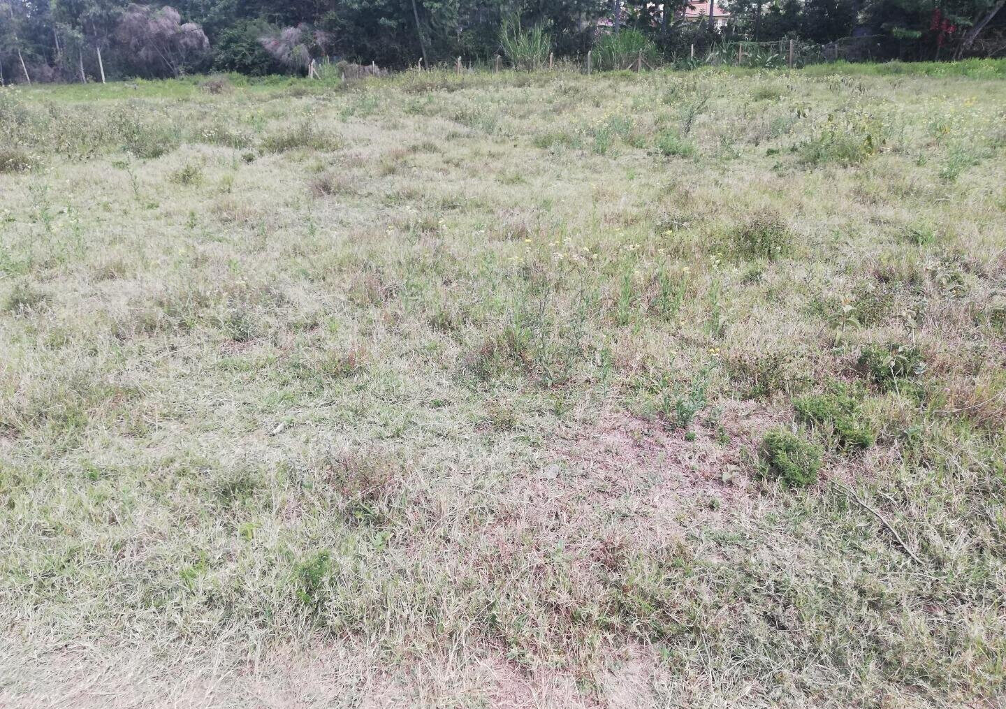 1 Acre Garden Plot in Karen