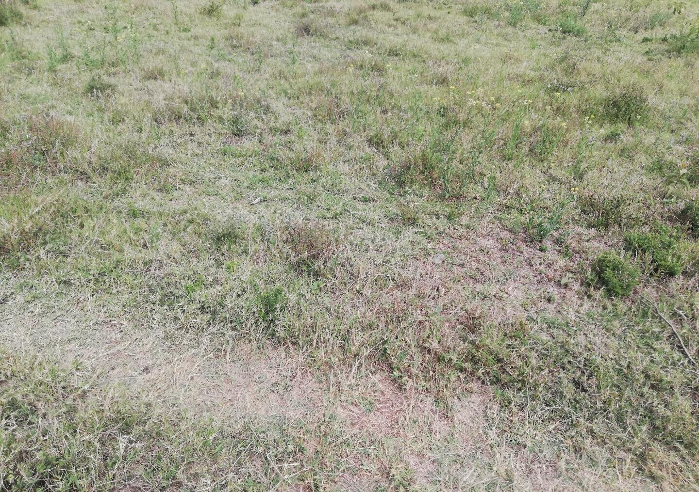 1 Acre Garden Plot in Karen