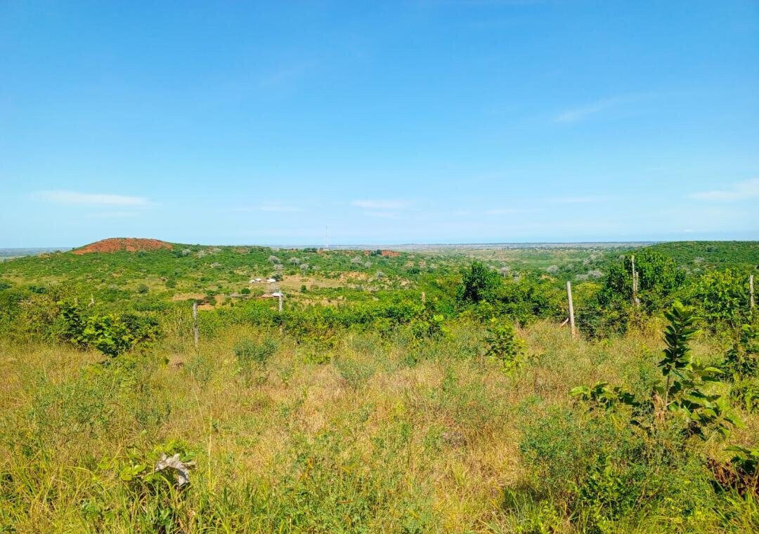 1-Acre Agricultural Land at KSh 1.7M