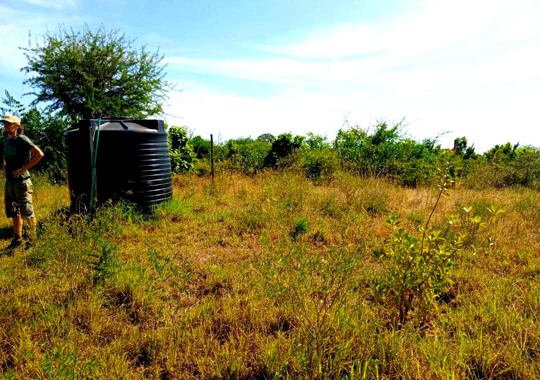 1-Acre Agricultural Land at KSh 1.7M