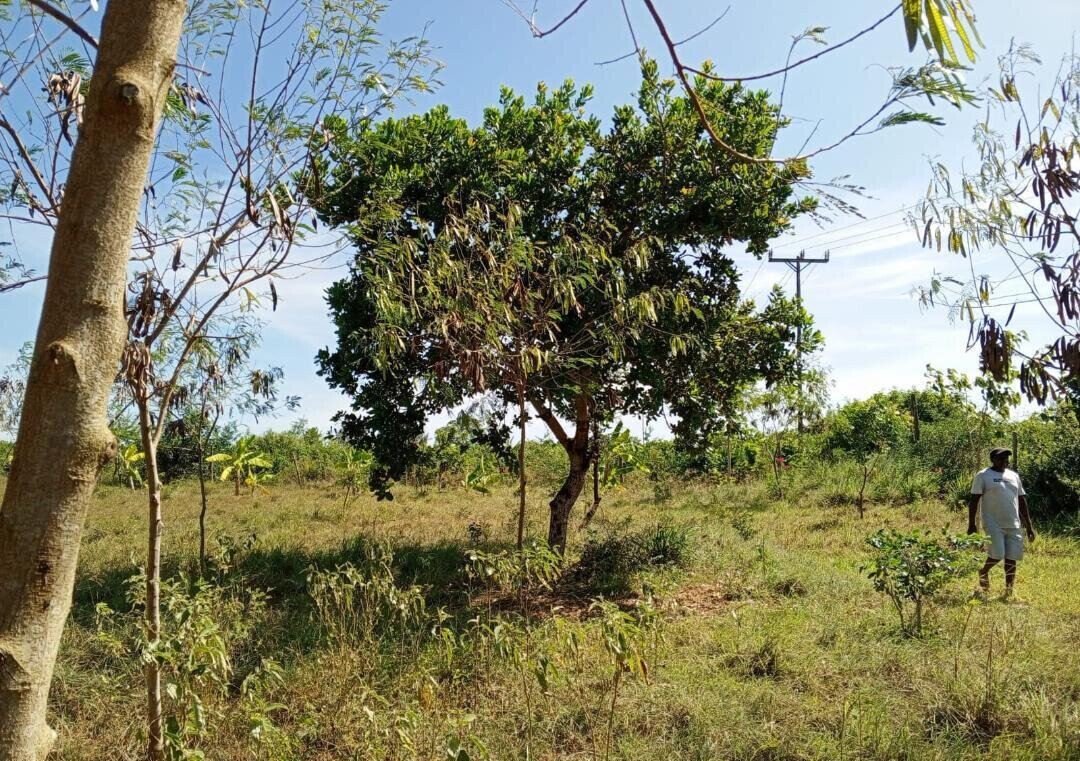 1-Acre Agricultural Land at KSh 1.7M