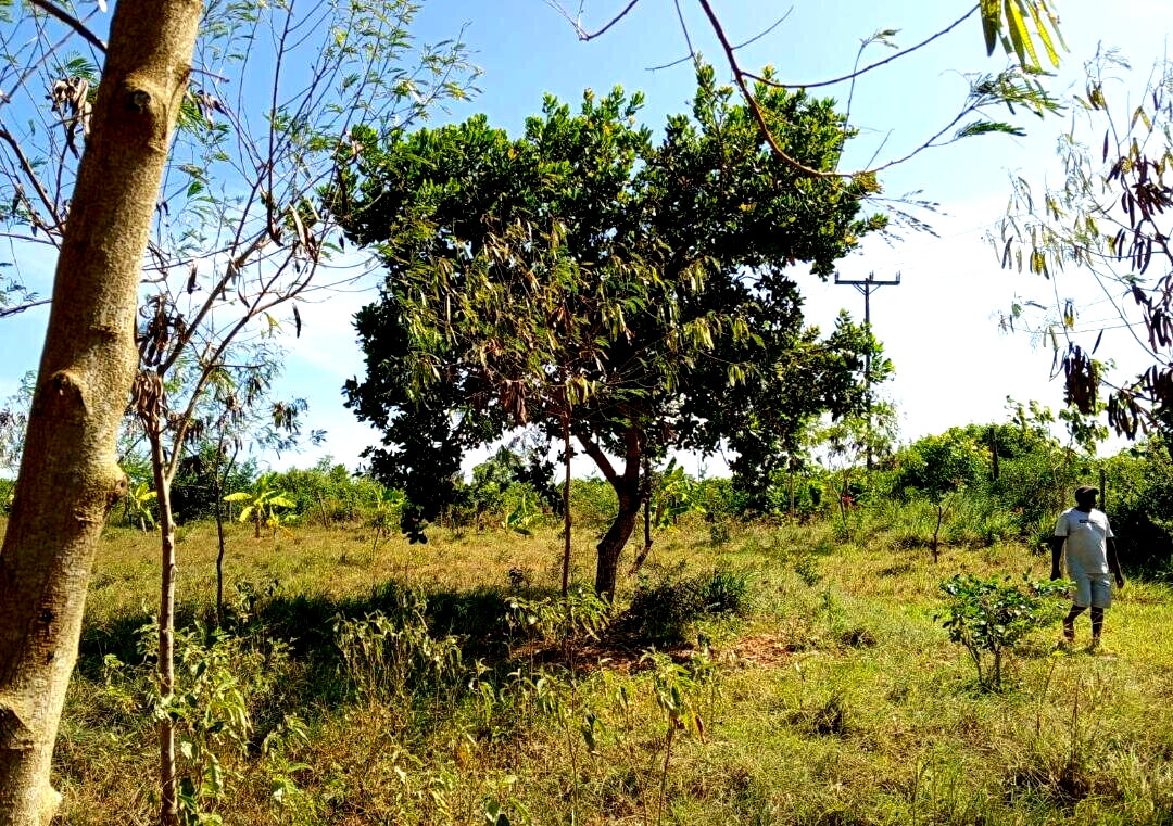1-Acre Agricultural Land at KSh 1.7M