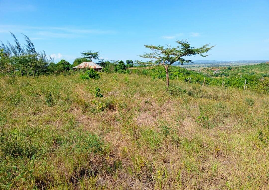 1-Acre Agricultural Land at KSh 1.7M