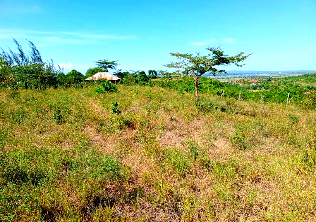 1-Acre Agricultural Land at KSh 1.7M
