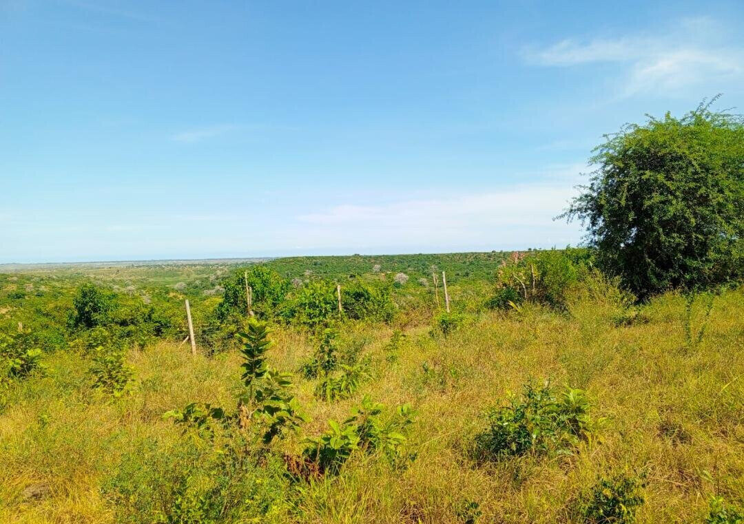 1-Acre Agricultural Land at KSh 1.7M