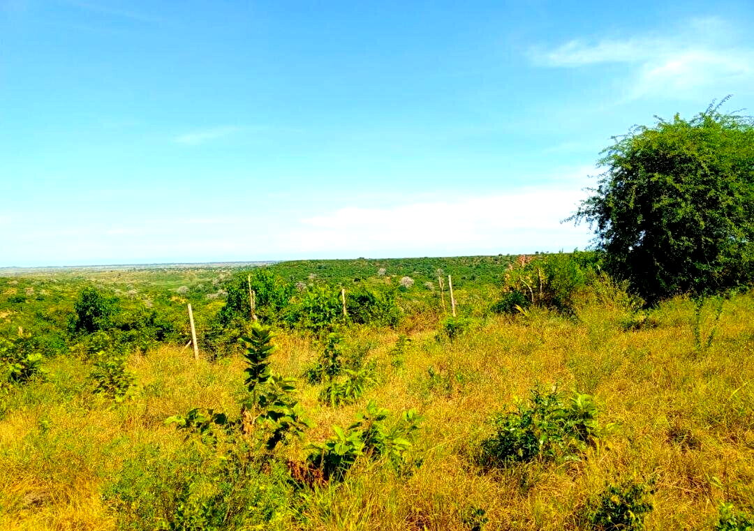 1-Acre Agricultural Land at KSh 1.7M